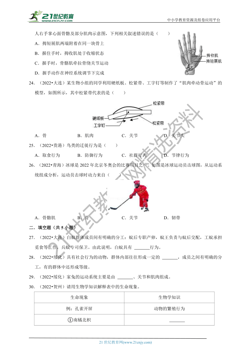 【备考2023】2022年中考生物真题分类汇编5——动物的运动和行为部分（含解析）