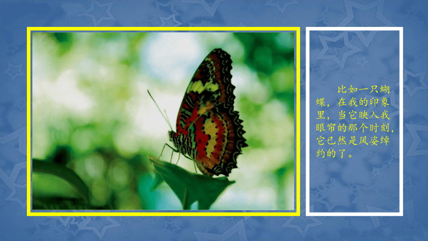 辽海版 一年级下册美术 第11 课 会飞的花朵｜ 课件（26张PPT）