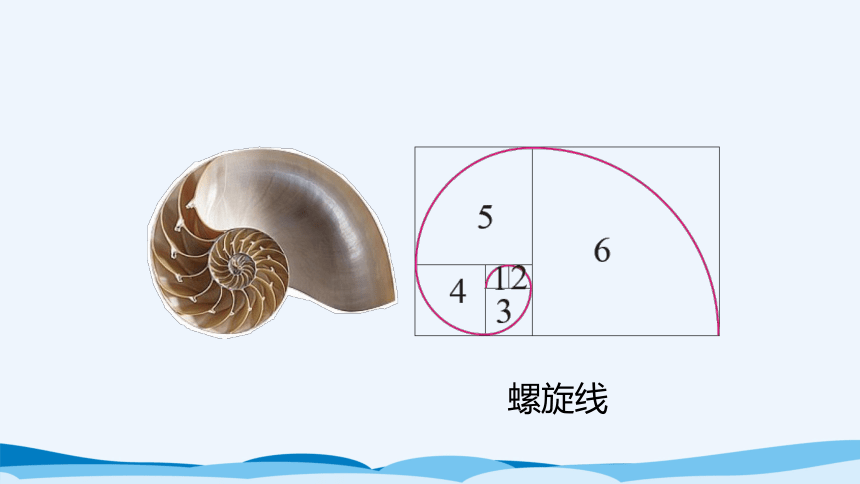 六年级上北师大版第一单元圆第四课时欣赏与设计 课件