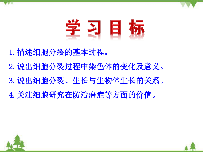 人教版生物七年级上册 第二单元第二章第一节 细胞通过分裂产生新细胞课件(共20张PPT)