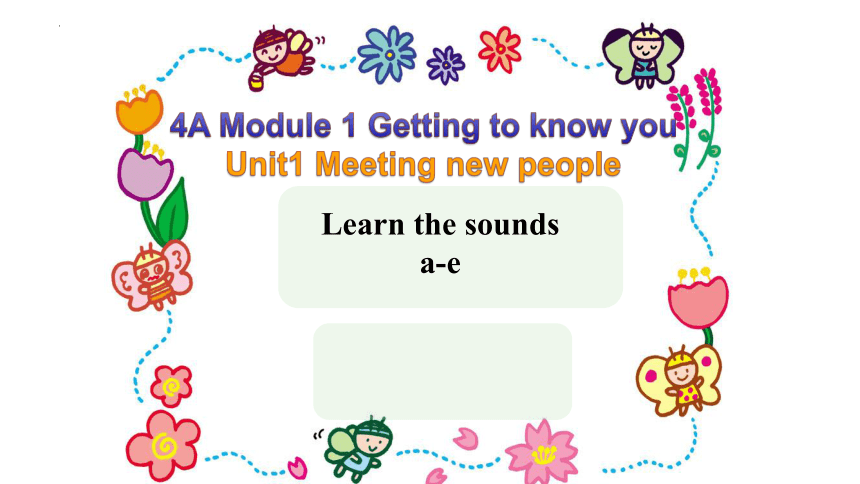 Module 1 Unit1 Meeting new people课件(共38张PPT)