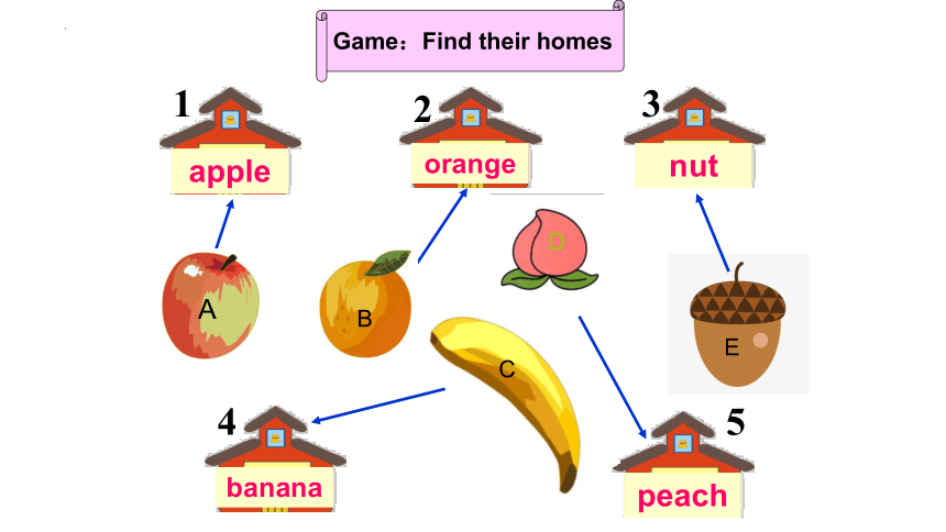 Unit 7 Fruits Lesson 1  课件(共18张PPT)