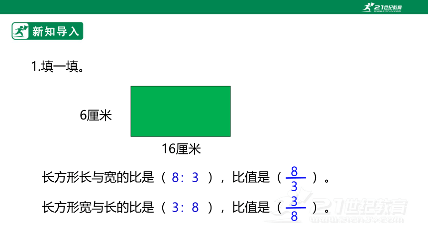 新课标苏教版六上3.9《树叶中的比》课件（33张PPT）