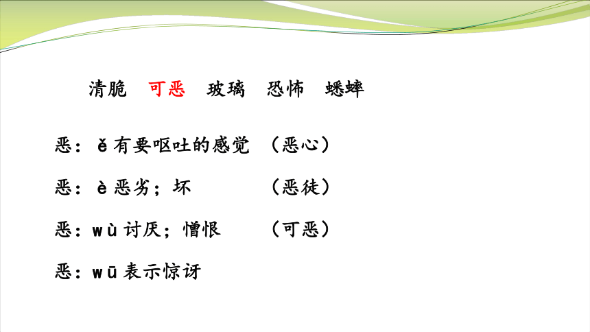 课文16 表里的生物  第一课时课件  (共23张PPT)