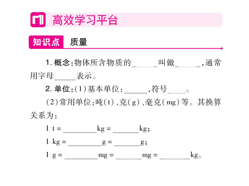 2021-2022学年八年级上册人教版物理习题课件 第六章 第1节 质量(共41张PPT)