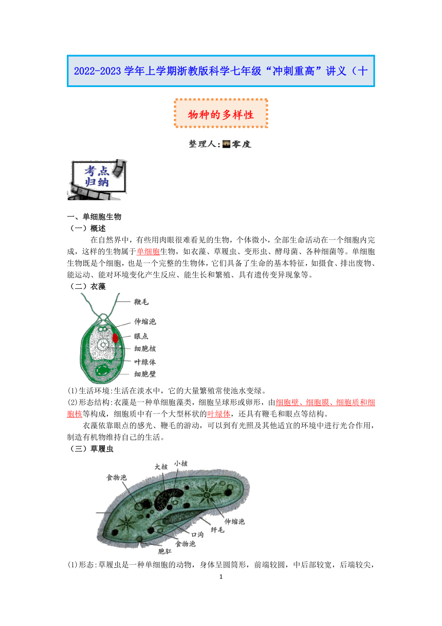 浙教版科学2022-2023学年上学期七年级“冲刺重高”讲义（十四）：物种的多样性【word，含答案】