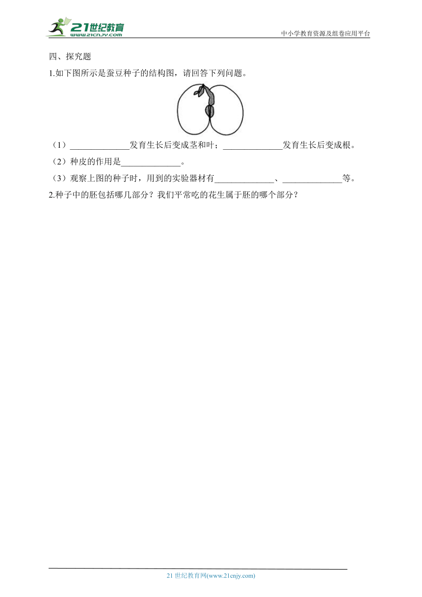 教科版四年级科学下册1.1种子里孕育着新生命同步练习（含答案）