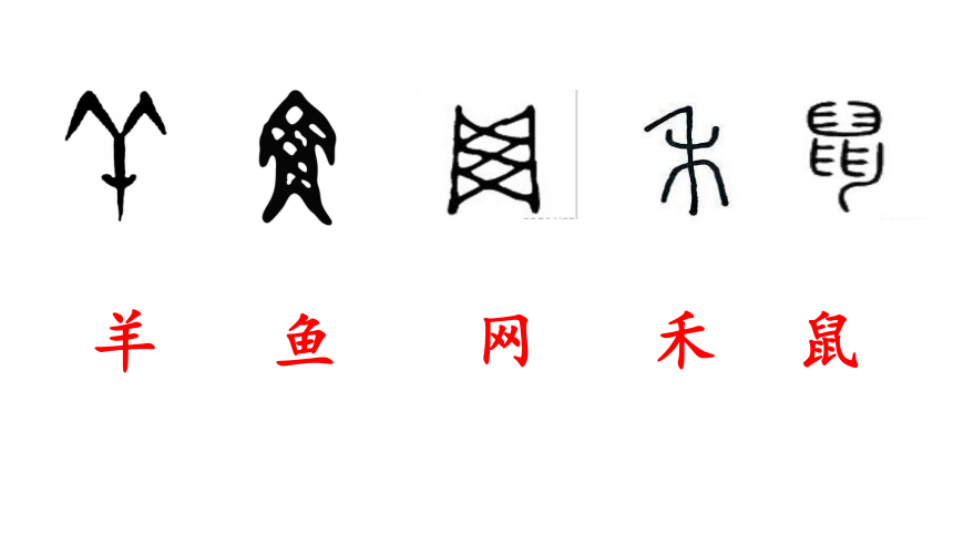 识字 3“贝”的故事     课件(共20张PPT)