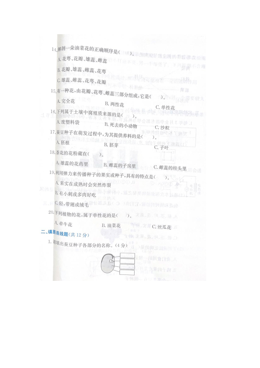 浙江省金华市义乌市2022-2023学年四年级下学期科学期末试题（图片版，含答案）