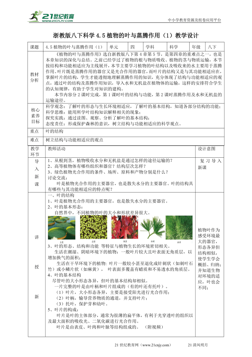 2022浙教版八下科学4.5植物的叶与蒸腾作用（1）教学设计（表格式）