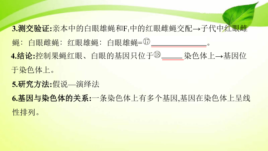 高考生物专题课件16：基因在染色体上、伴性遗传（共58张PPT）