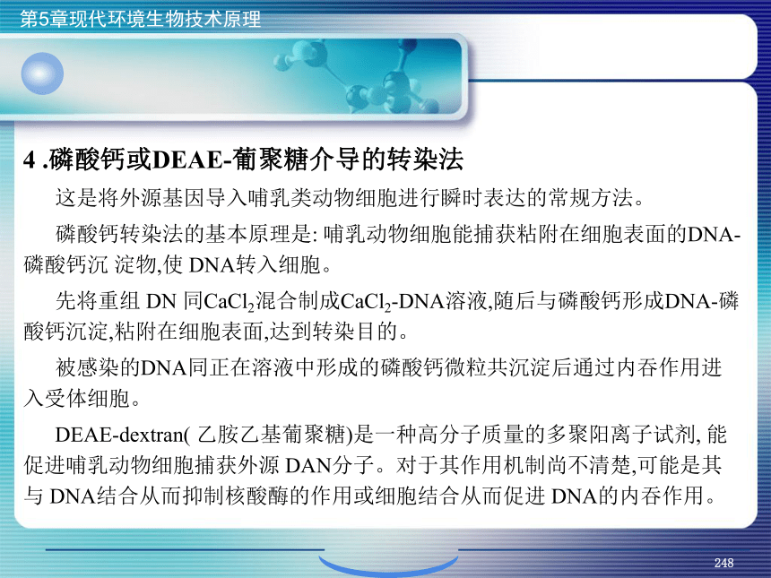 5.现代环境生物技术原理_9 课件(共27张PPT）- 《环境生物化学》同步教学（机工版·2020）