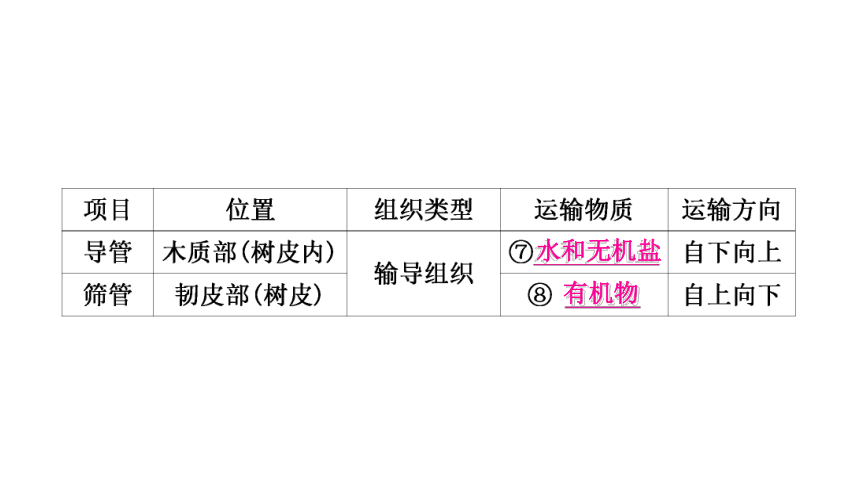 2023年人教版七年级生物上册复习专题★★第三章　绿色植物与生物圈的水循环 课件(共26张PPT)