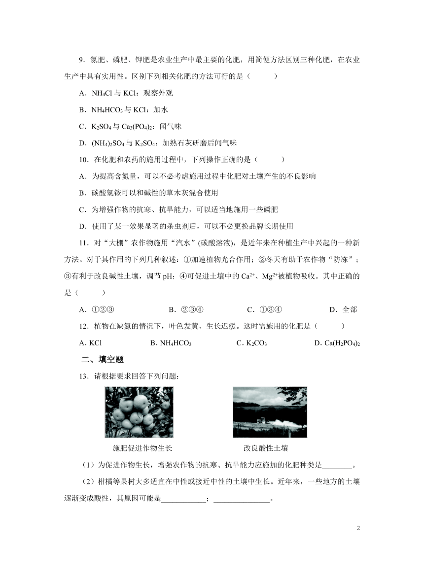 化学人教版九下：11.2化学肥料作业（含解析）