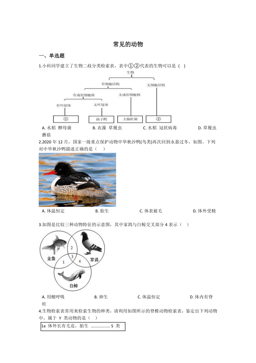 2.4常见的动物同步练习---2021—2022学年浙教版七上科学（含答案）