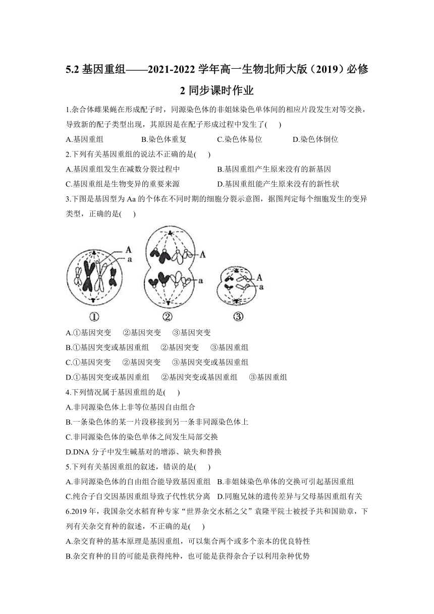 5.2基因重组课时作业2021-2022学年高一下学期生物北师大版（2019）必修2（word版含答案带解析）