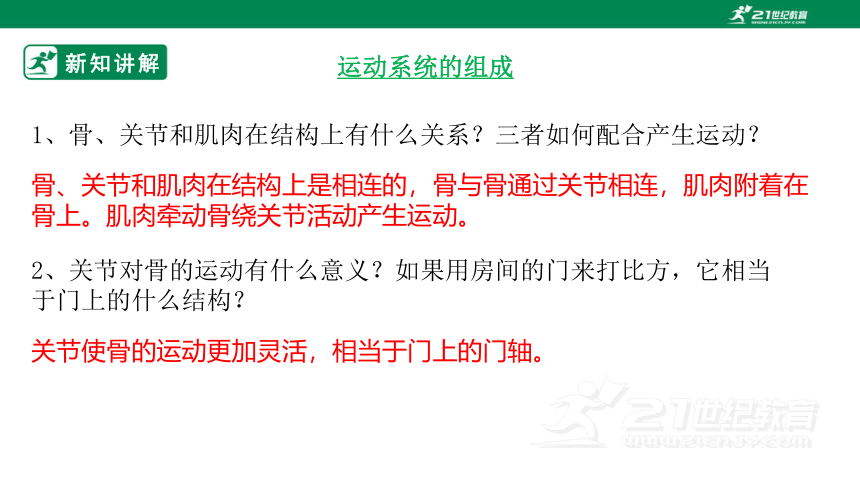 人教版5.2.1 动物的运动-2022-2023学年八年级生物上册 同步课件(共35张PPT)