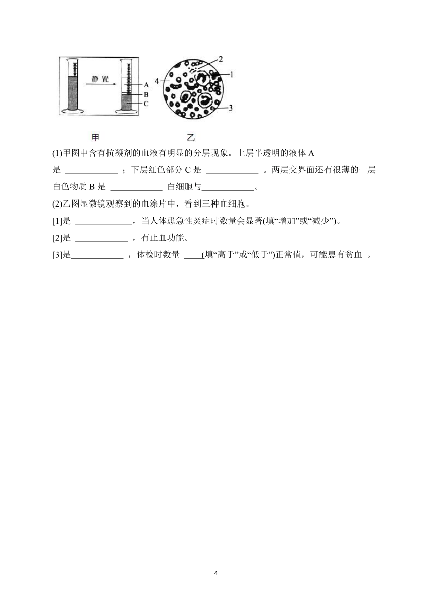 2023届人教版中考生物高频考点专项练习：专题十 考点23 血液与血管（A卷）（含解析）