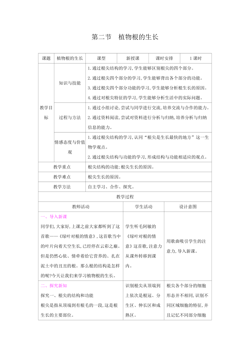 5.2植物根的生长（表格式教案）