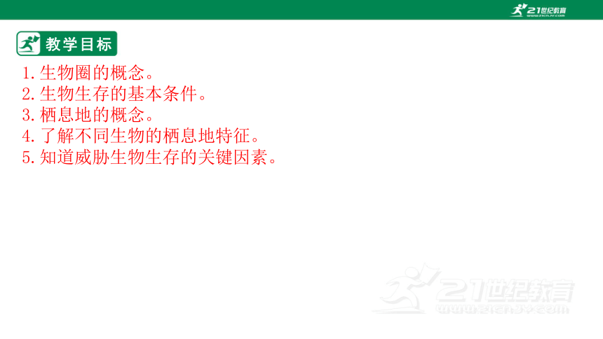 1.1.2 生物的生活环境-2022-2023学年七年级生物上册同步课件（济南版）(共35张PPT)