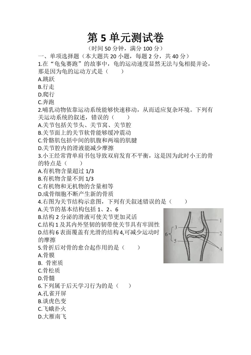 2021—2022学年八年级生物上册 第5单元  生物圈中的动物和微生物  测试卷  （word版 含答案）