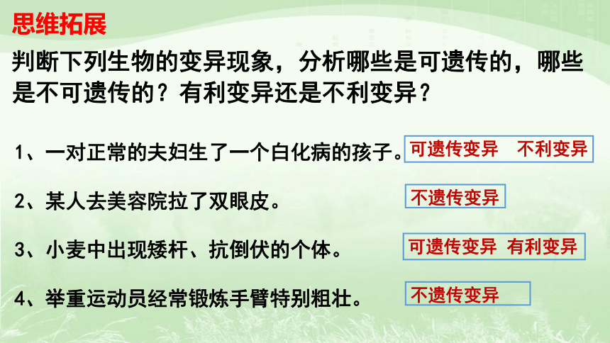 22.2生物的变异课件(共41张PPT)2021--2022学年苏科版生物八年级下册