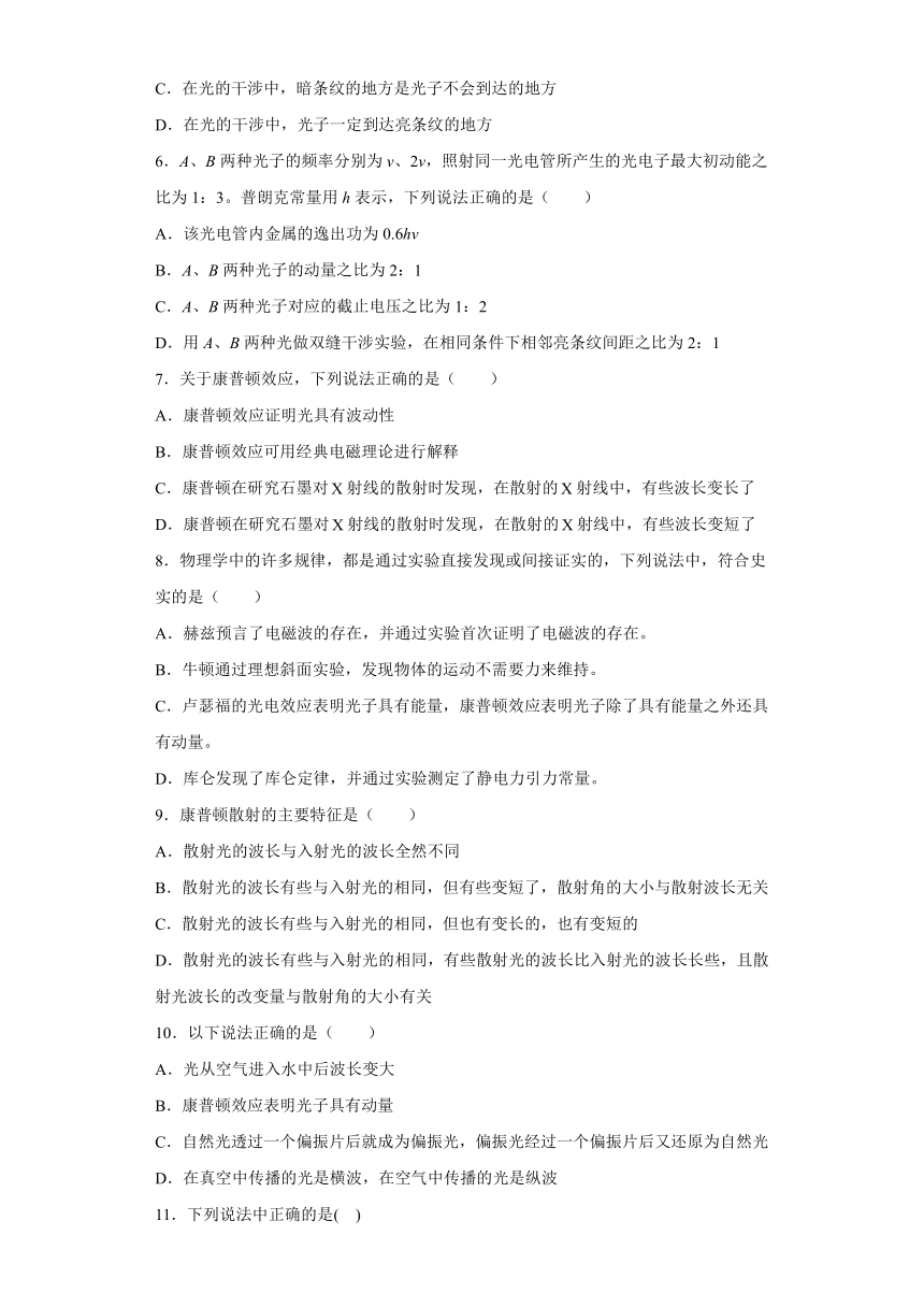 6.3光的波粒二象性 自主提升过关练（word解析版）