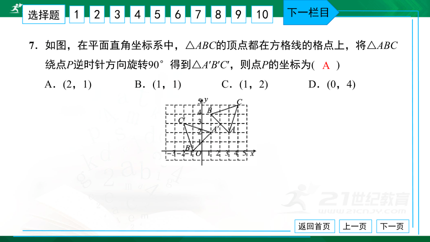 人教版九年级 单元卷（三） 旋转 习题课件（共38张PPT）