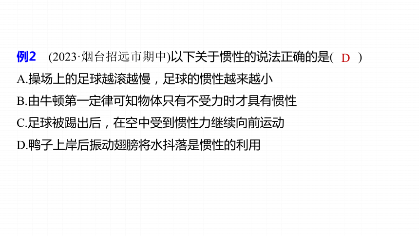 第8章 章末复习 课件 (共26张PPT) 2023-2024学年物理人教版八年级下册