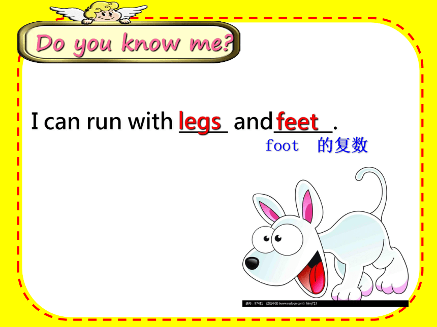 Unit 3 Our animal friends（Sound time Culture time-Cartoon time）课件（共50张PPT）