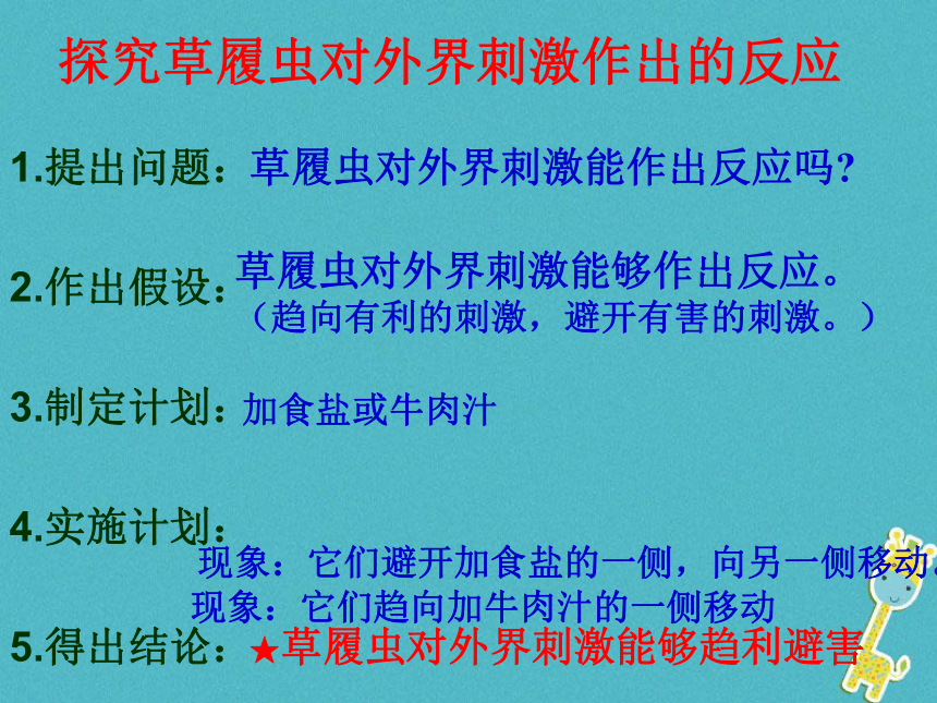 苏科版七年级下册生物 9.3单细胞的生物体 课件（共15张PPT）