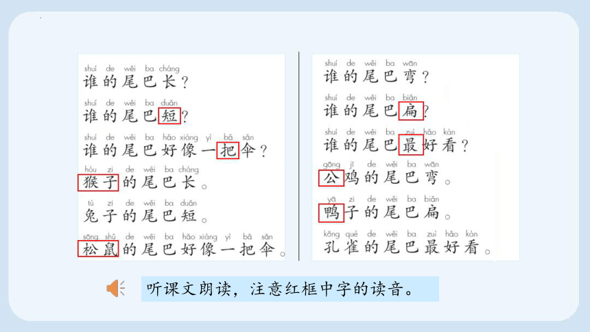 6 比尾巴 课件(共22张PPT)