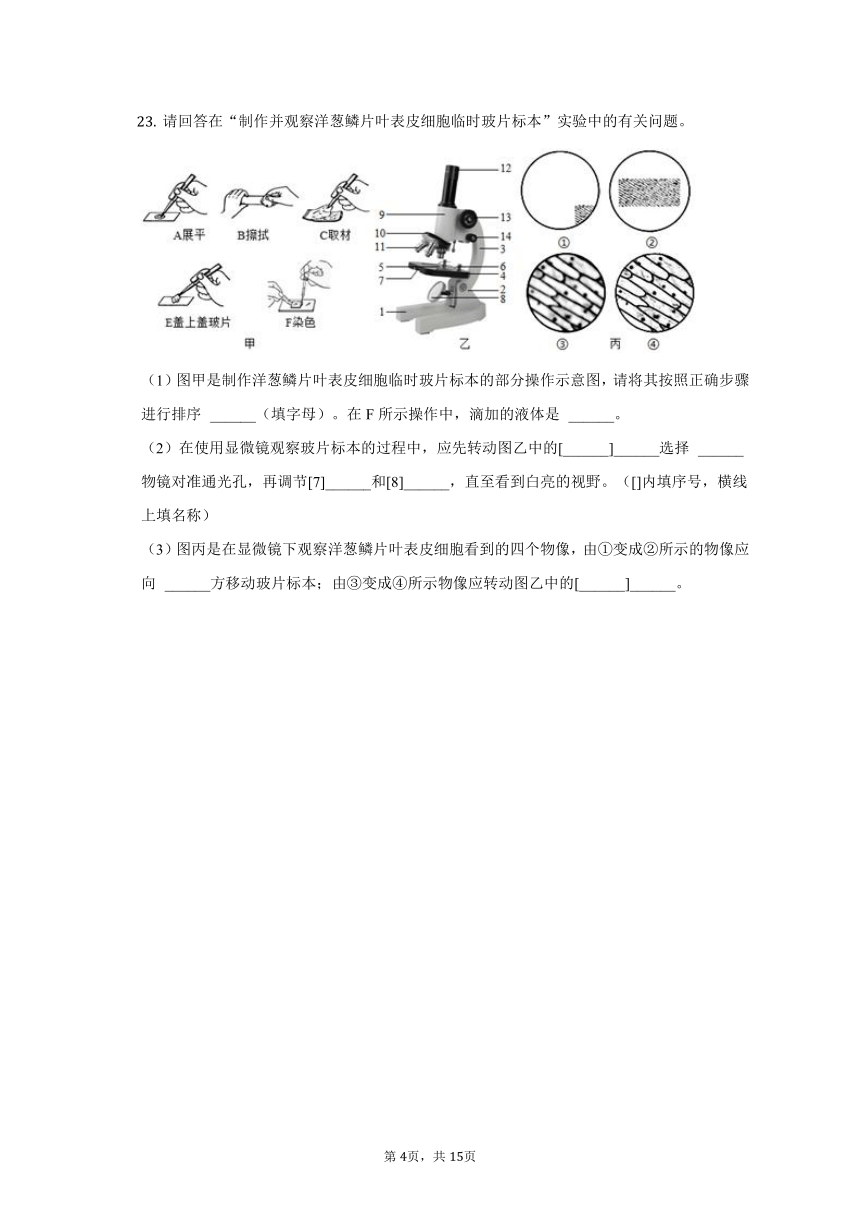 2022-2023学年辽宁省辽阳二中教育集团七年级（上）期中生物试卷（含解析）