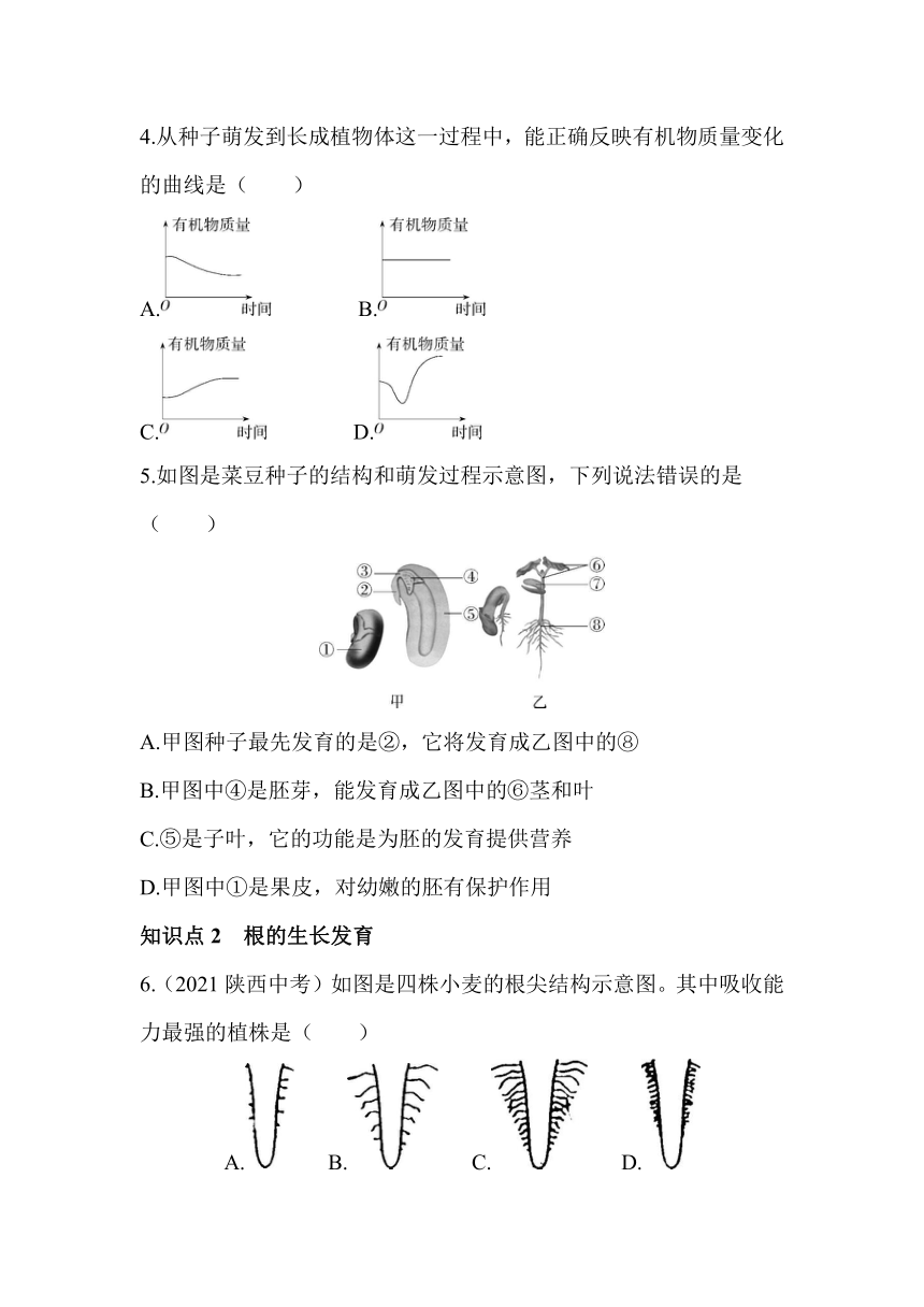 北京版生物学八年级上册10.3.3种子萌发的过程及根同步练习（含解析）