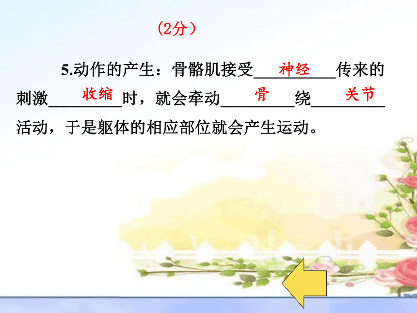 2021-2022学年人教版生物八年级上册第二章动物的运动和行为复习课课件（共50张PPT）