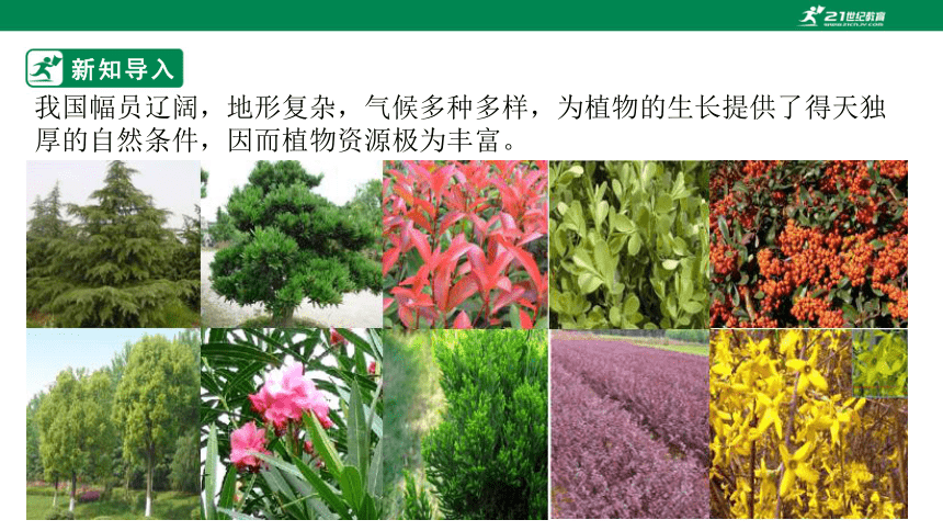 3.7.2 我国的植物资源-2022-2023学年七年级生物上册同步课件（北师大版）(共30张PPT)