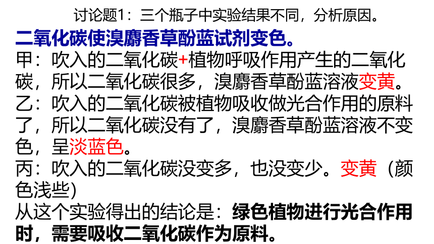 18.2绿色植物与生物圈中的碳-氧平衡课件(共19张PPT)2022--2023学年苏科版生物八年级上册