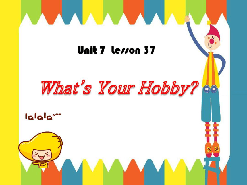 冀教版八年级上册 Unit 7 Lesson 37 What's your hobby？课件 (共15张PPT)