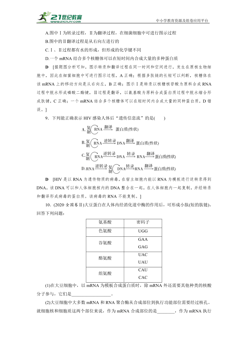 人教生物必修2 遗传与进化-同步练习(13)　基因指导蛋白质的合成(含答案）