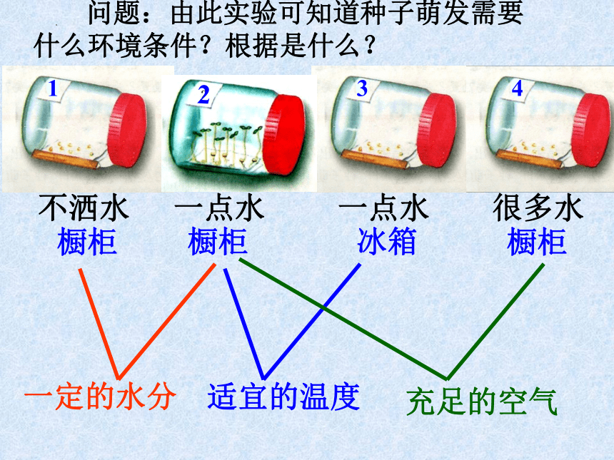 4.1.4 种子的萌发 课件（共35张PPT）