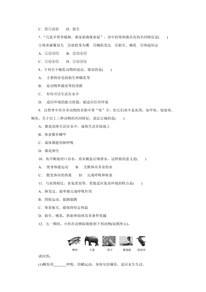 2.1动物的主要类群  同步练习（含答案）