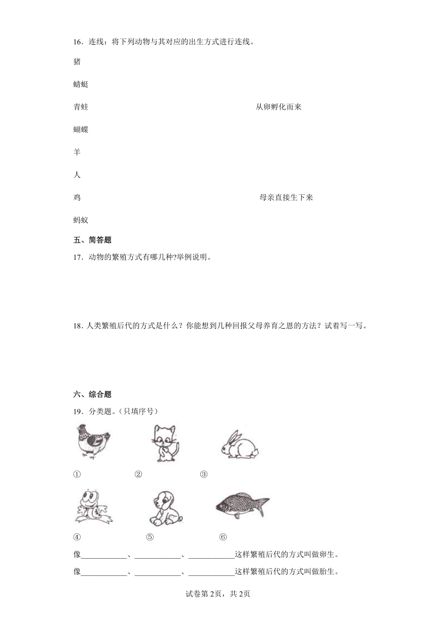 2021-2022学年度教科版三年级下册科学2.7动物的繁殖课时练习题（含答案）