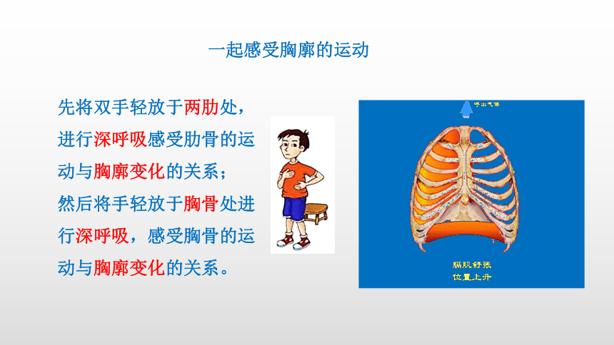 2021-2022学年人教版生物七年级下册4.3.2发生在肺内的气体交换课件(共24张PPT)