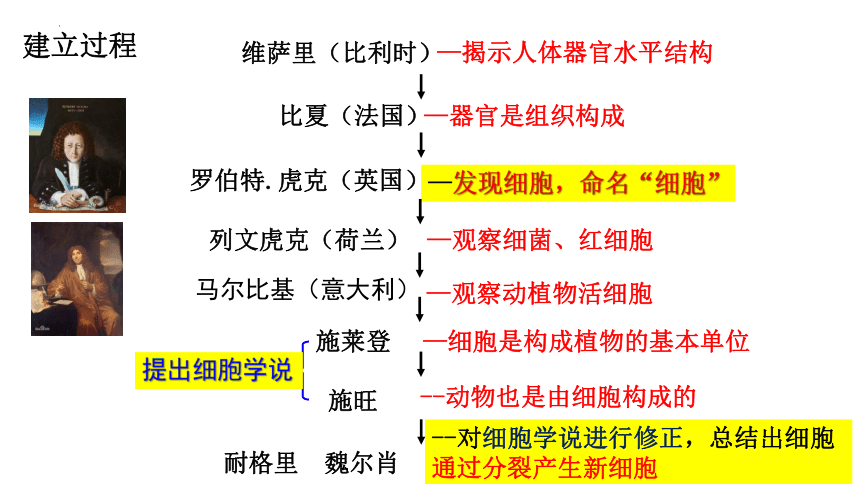 生物人教版（2019）必修1 1.1细胞是生命活动的基本单位（共22张ppt）