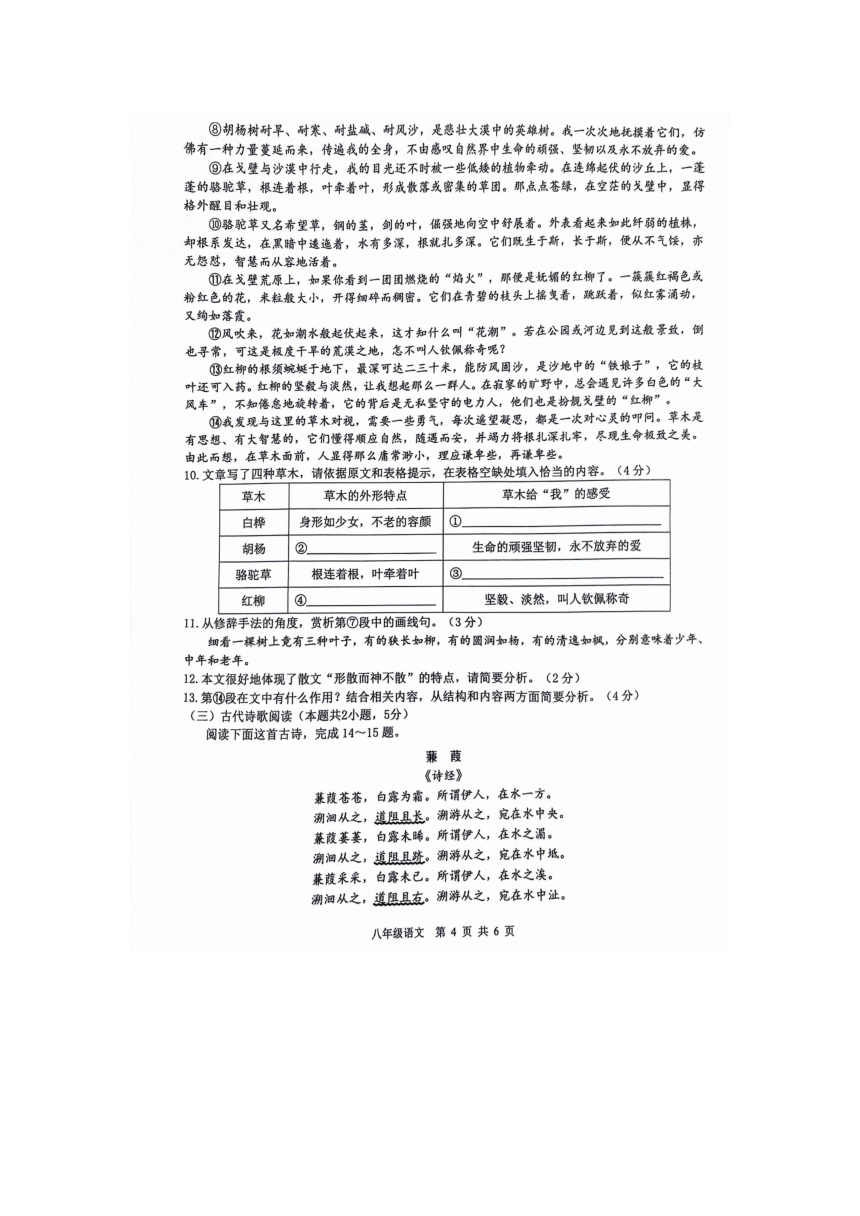 广西壮族自治区百色市2023-2024学年八年级下学期4月期中语文试题(含答案)