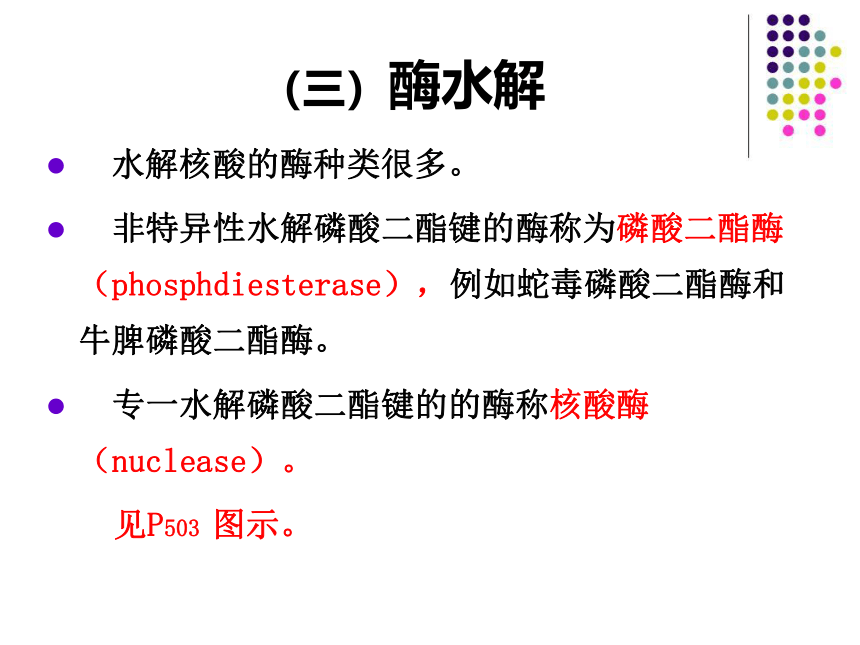 2020-2021学年高中生物竞赛核酸的物理化学性质课件 (36张PPT）