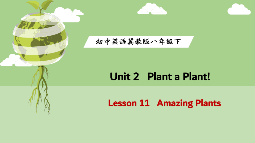 冀教版八年级下册Lesson 11   Amazing Plants 课件(共43张PPT，内嵌音频）