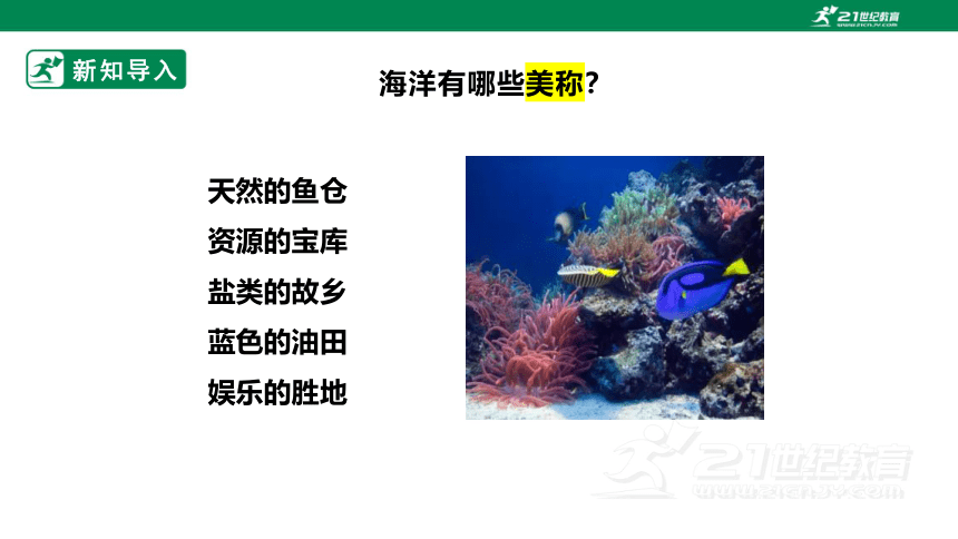 【新课标】3.3 人类与海洋 课件（26页）