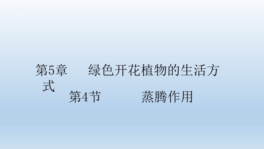 5.4  蒸腾作用课件(共18张PPT)2022-2023学年北师大版生物七年级上册