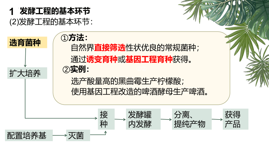 生物人教版（2019）选择性必修3 1.3发酵工程及其应用（课件共43张ppt）